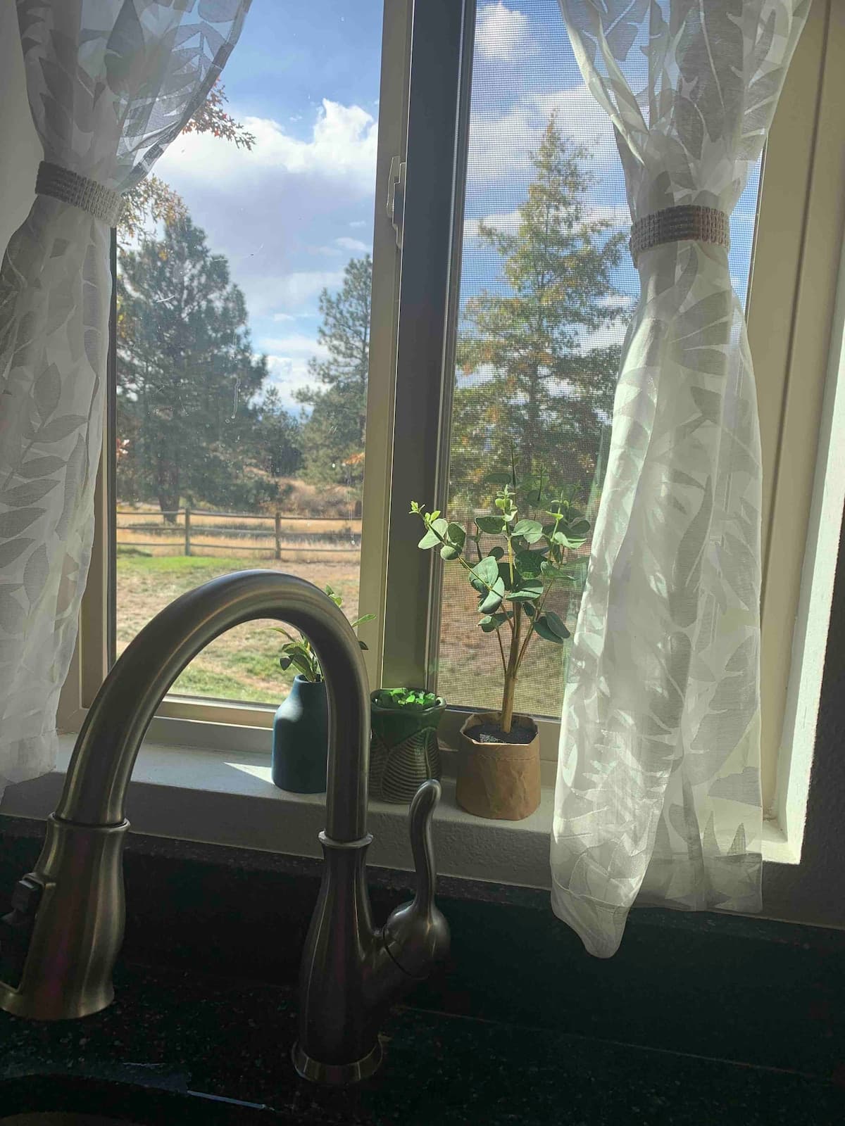 Peaceful Farm Retreat near Denver - Photo 4